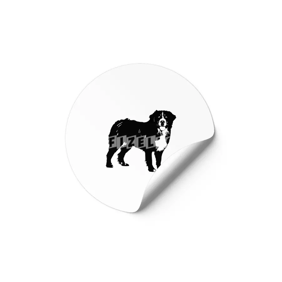 Bernese Mountain Dog Etiket