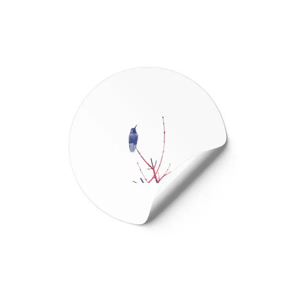 Humming Bird Riso branch Etiket