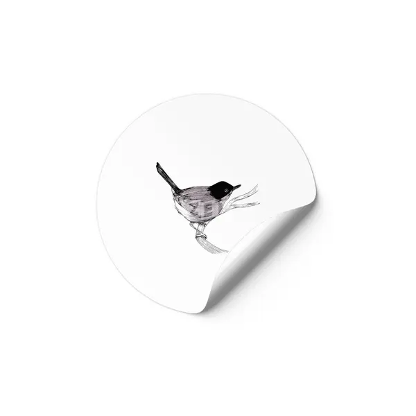 Blackcap Bird Etiket
