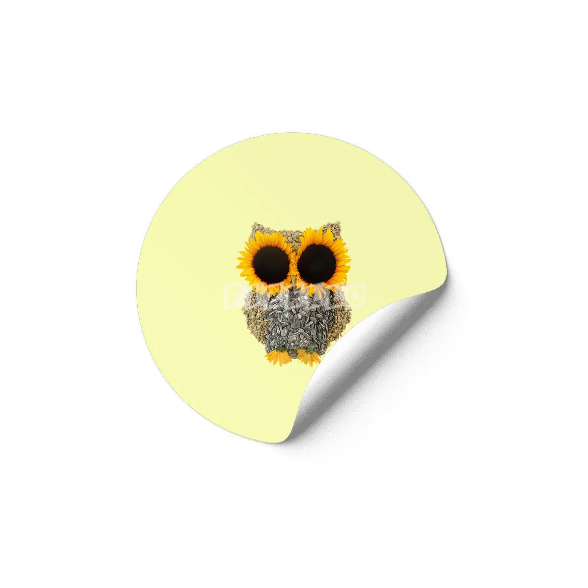 Hoot! Day Owl! Etiket