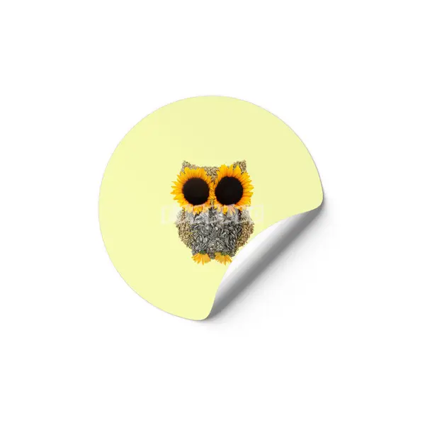Hoot! Day Owl! Etiket