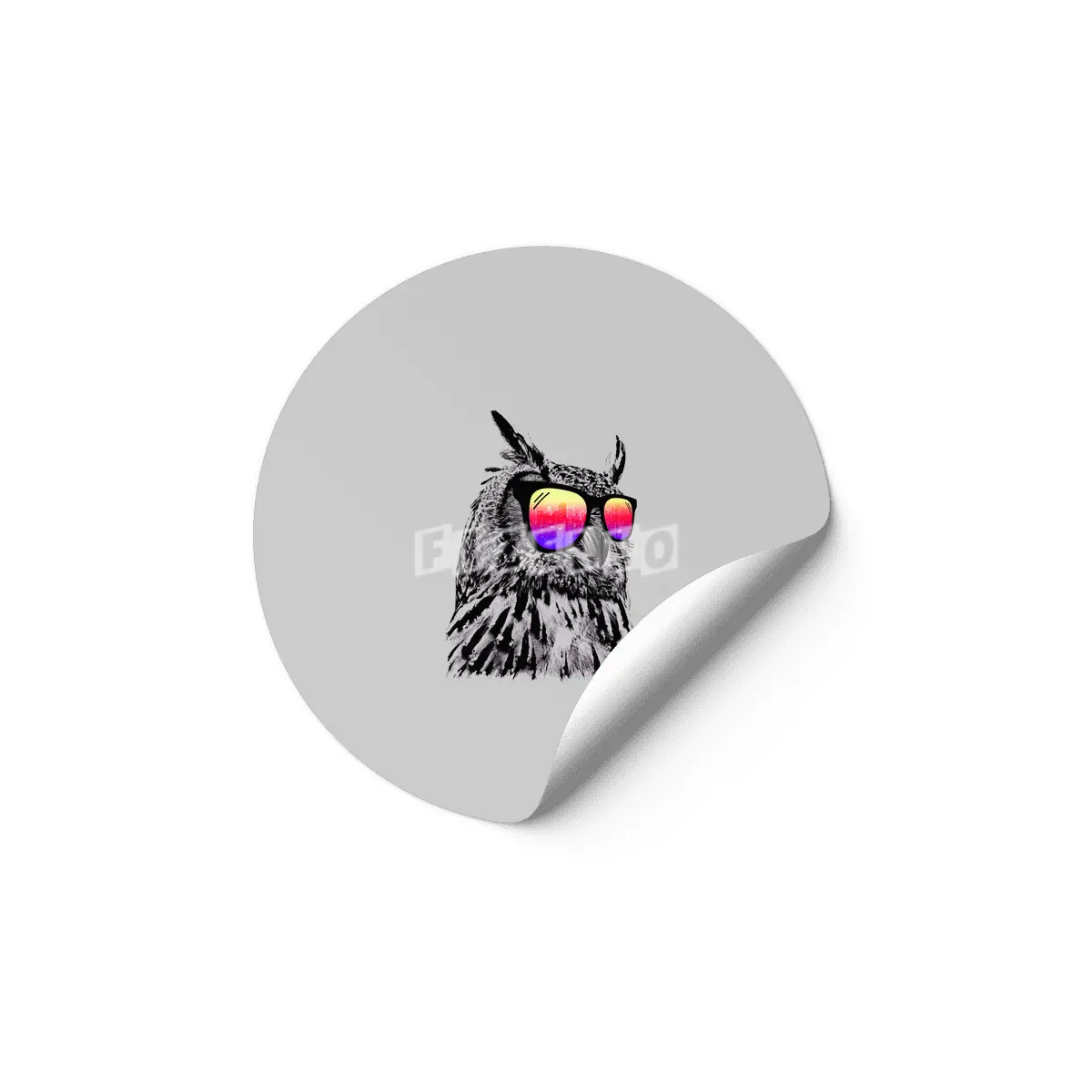 Cool Owl Etiket