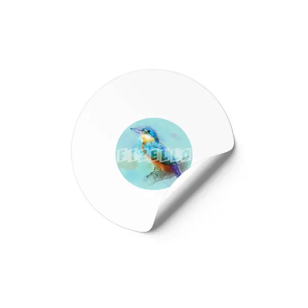 Colorful Kingfish bird Etiket