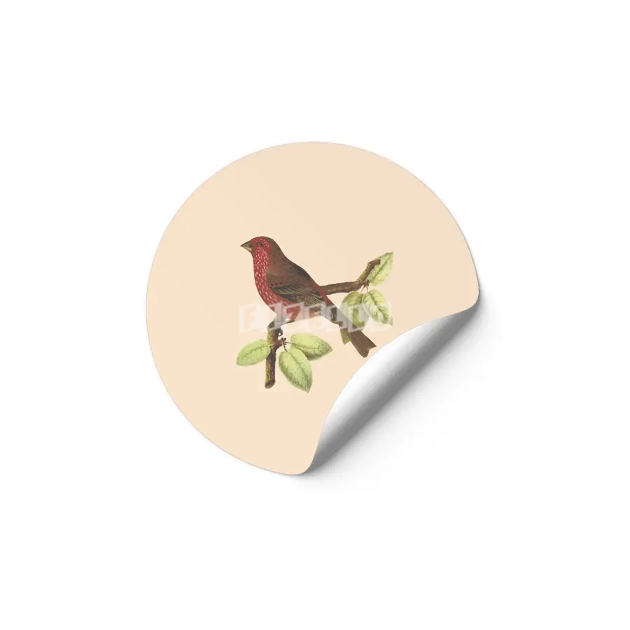 Cute birds #1 Etiket