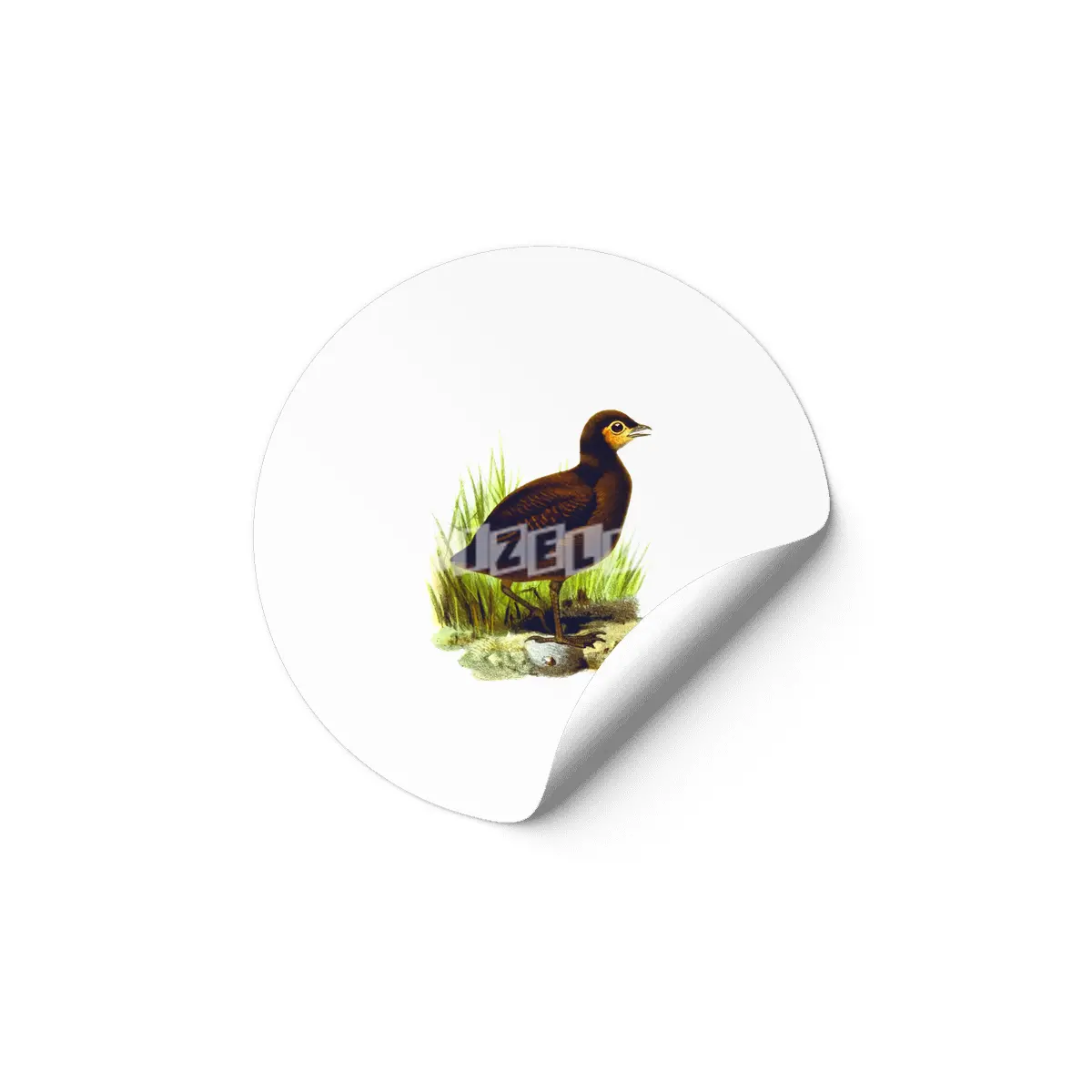 Cute birds #3 Etiket