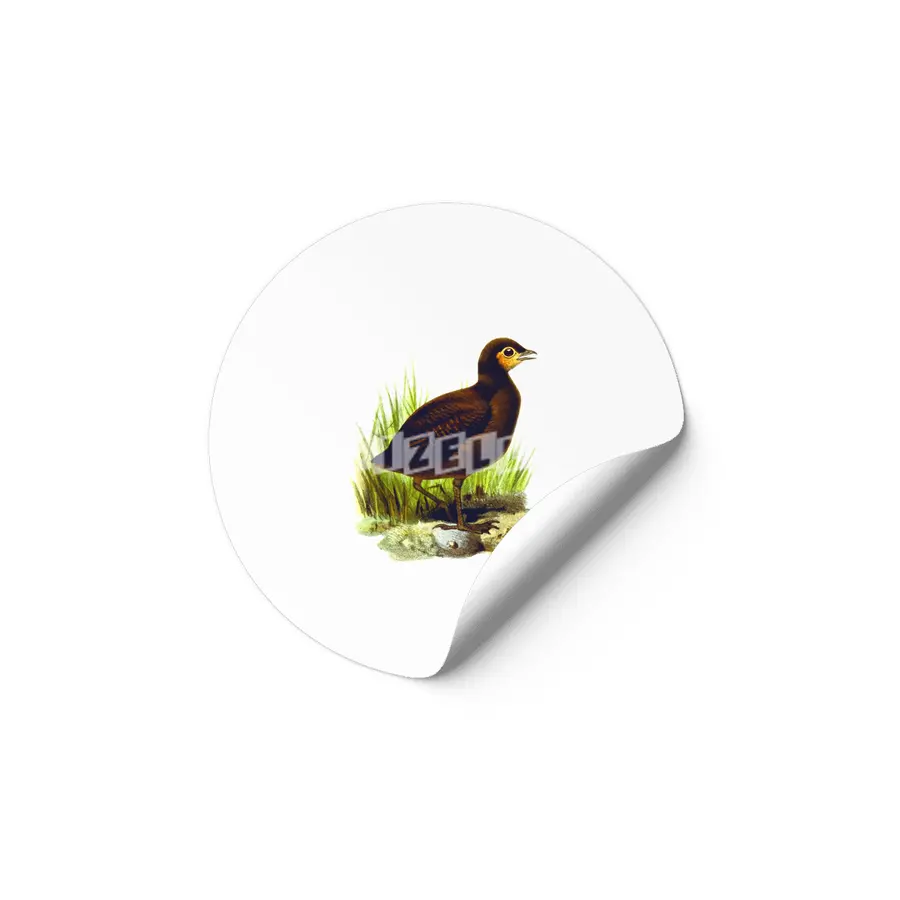 Cute birds #3 Etiket