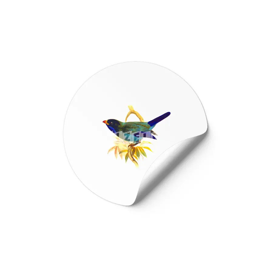 Cute birds #5 Etiket
