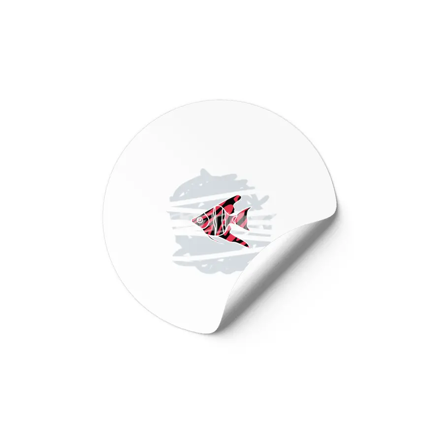 zebra red skin freshwater angelfish Etiket