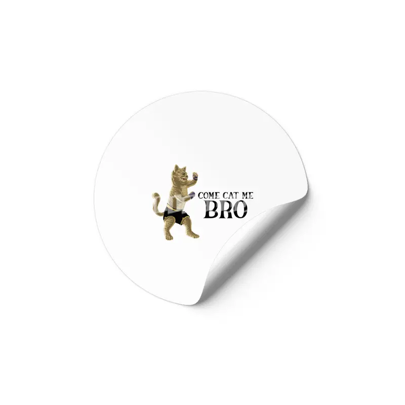 Come Cat Me Bro Cool Boxing Cat Punching International Cat Day Gift for Cat Lovers Etiket