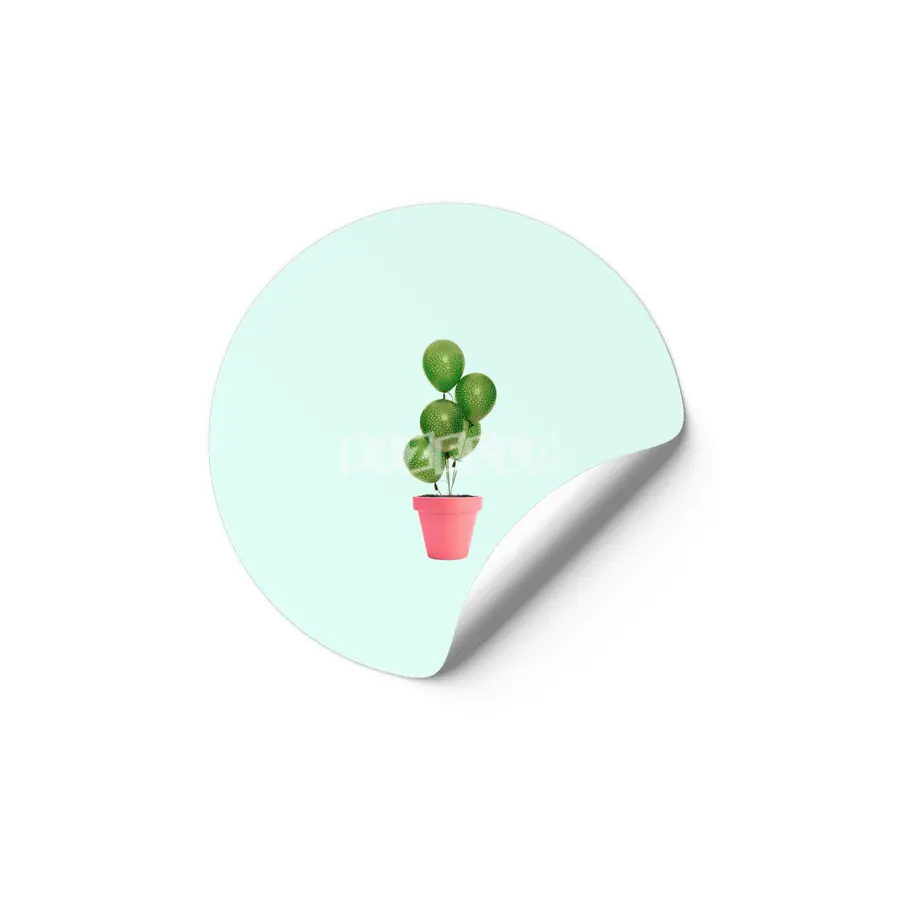 Cactus Balloon Etiket