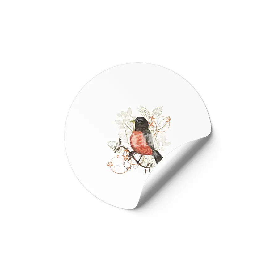 Robin Bird Watercolor  Etiket