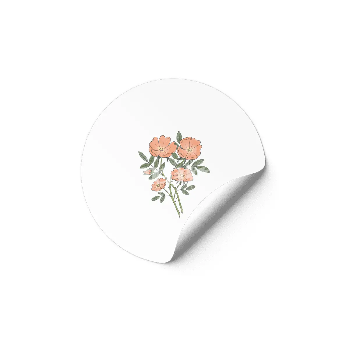 Briar Rose Etiket