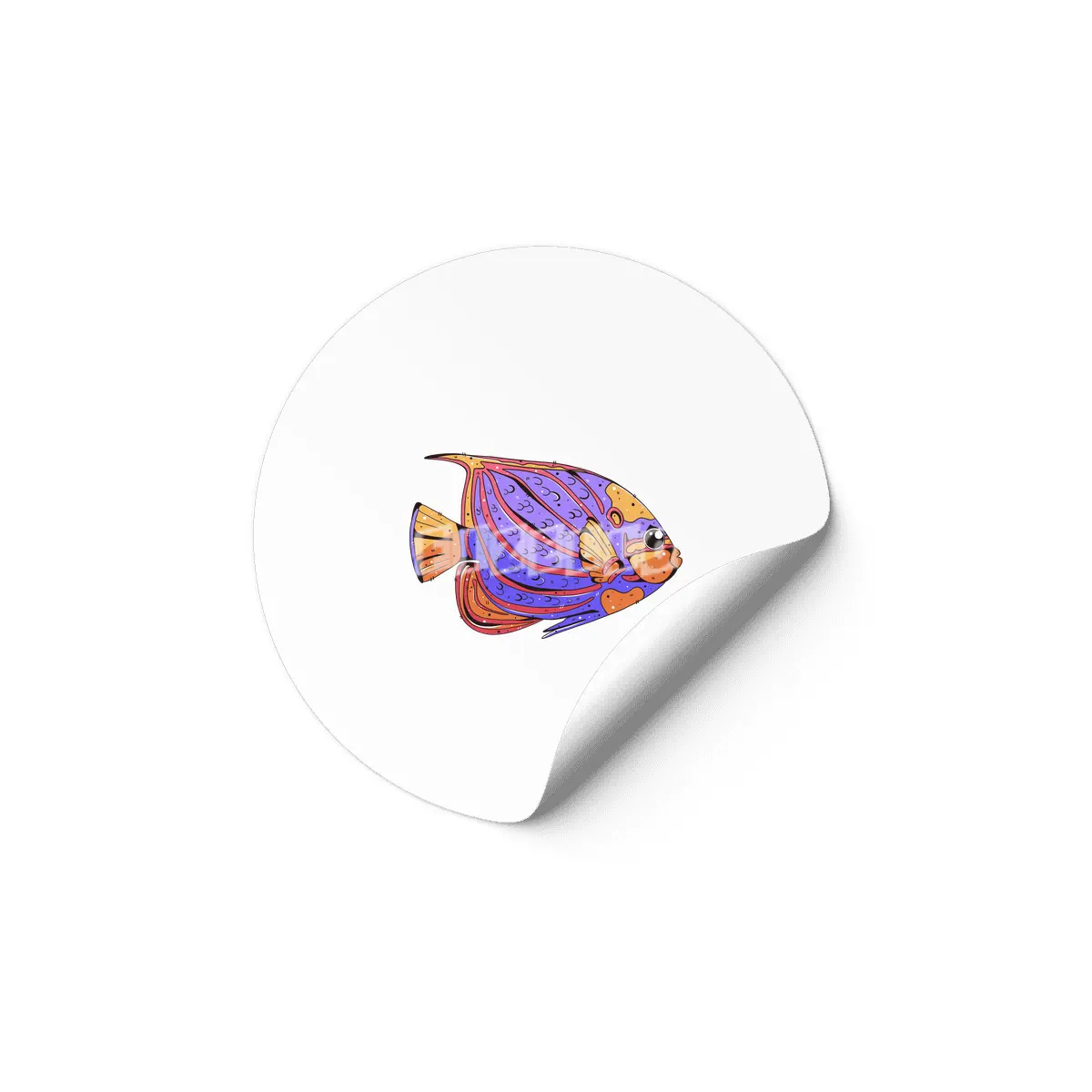 Bluering Angelfish Etiket