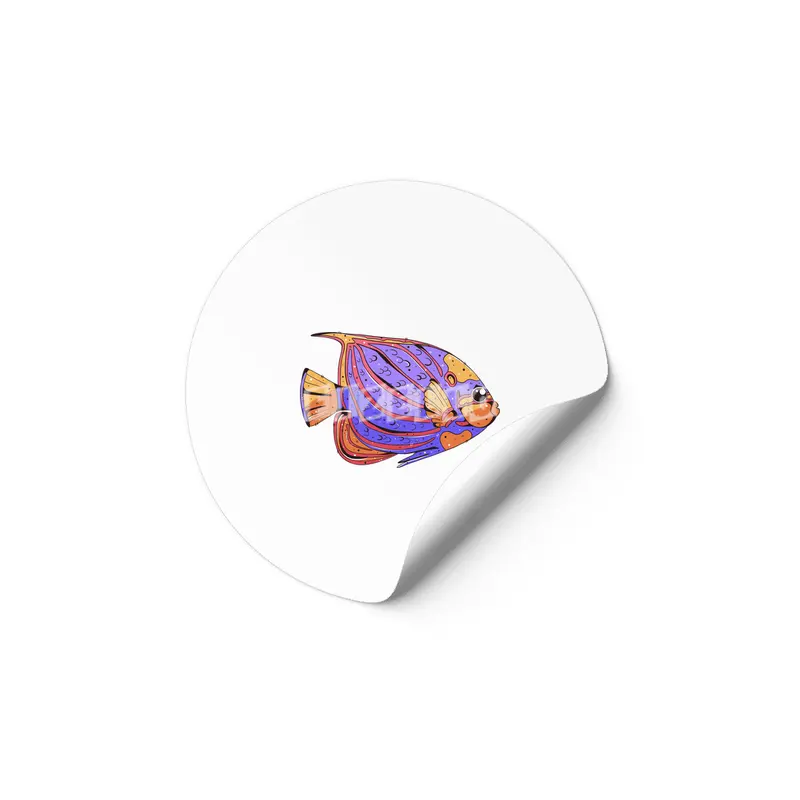 Bluering Angelfish Etiket