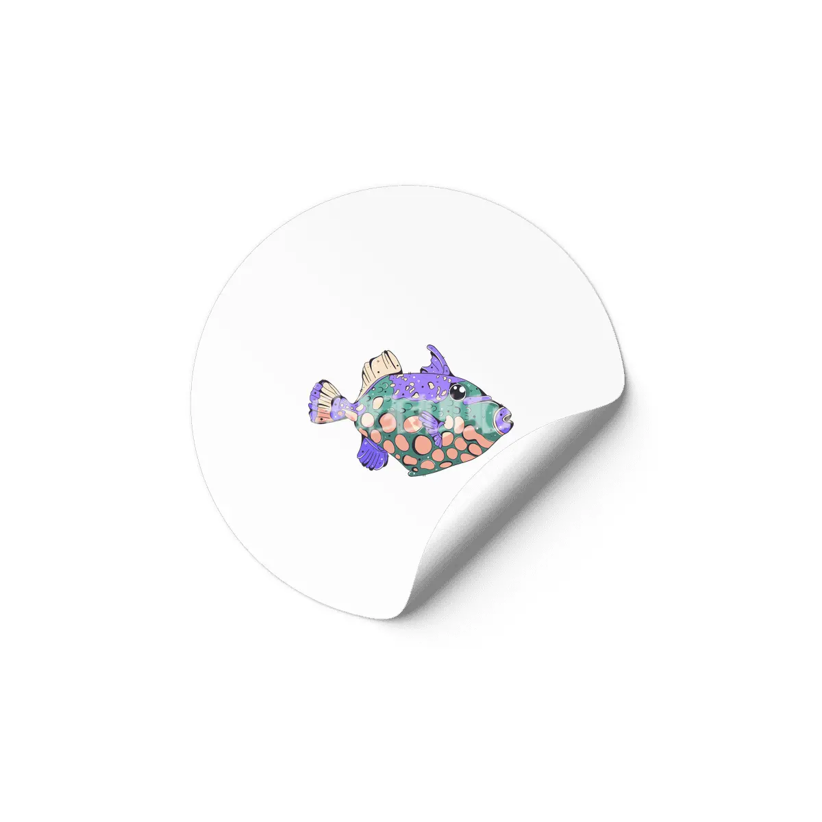 Clown Triggerfish Etiket