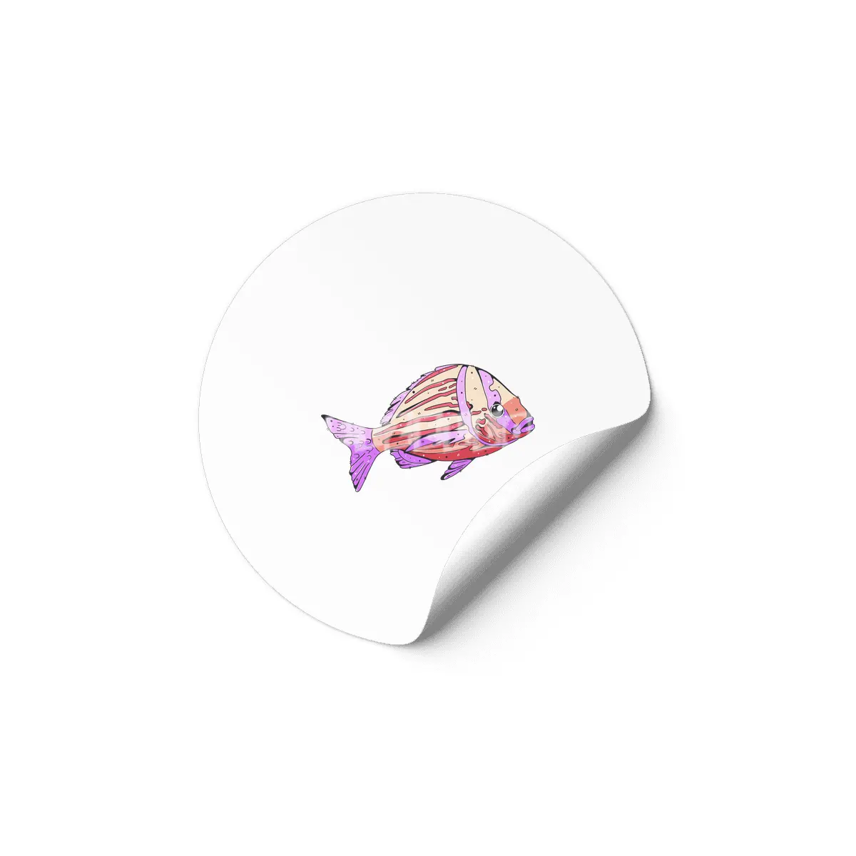 Porkfish Etiket