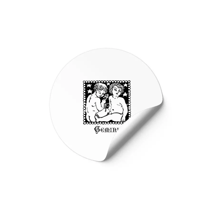 Gemini Birth Sign Zodiac Horoscope Symbol Astrology Sign Etiket