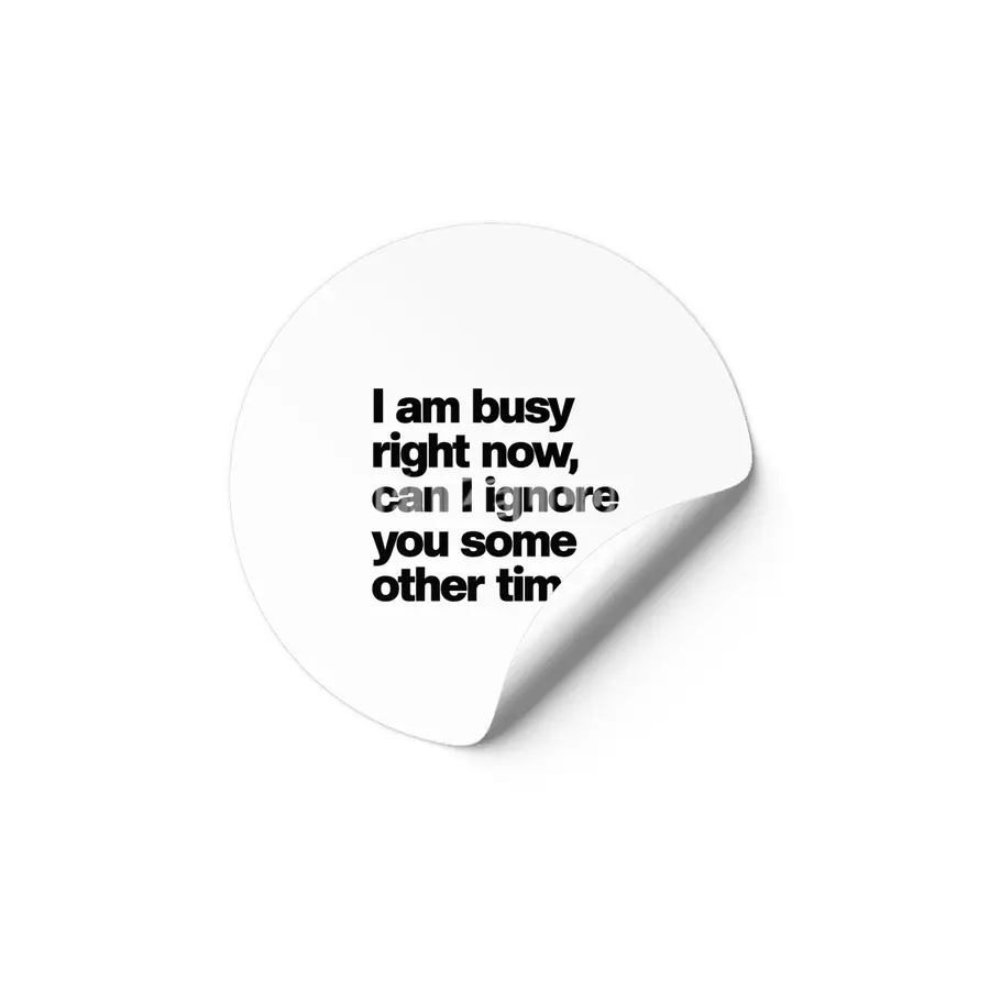 I Am Busy Right Now, Can I Ignore You Some Other Time? - Funny Sarcastic Etiket