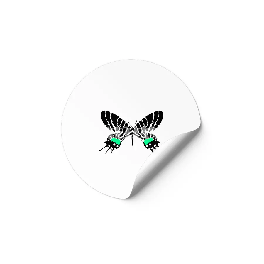 minty butterfly Etiket