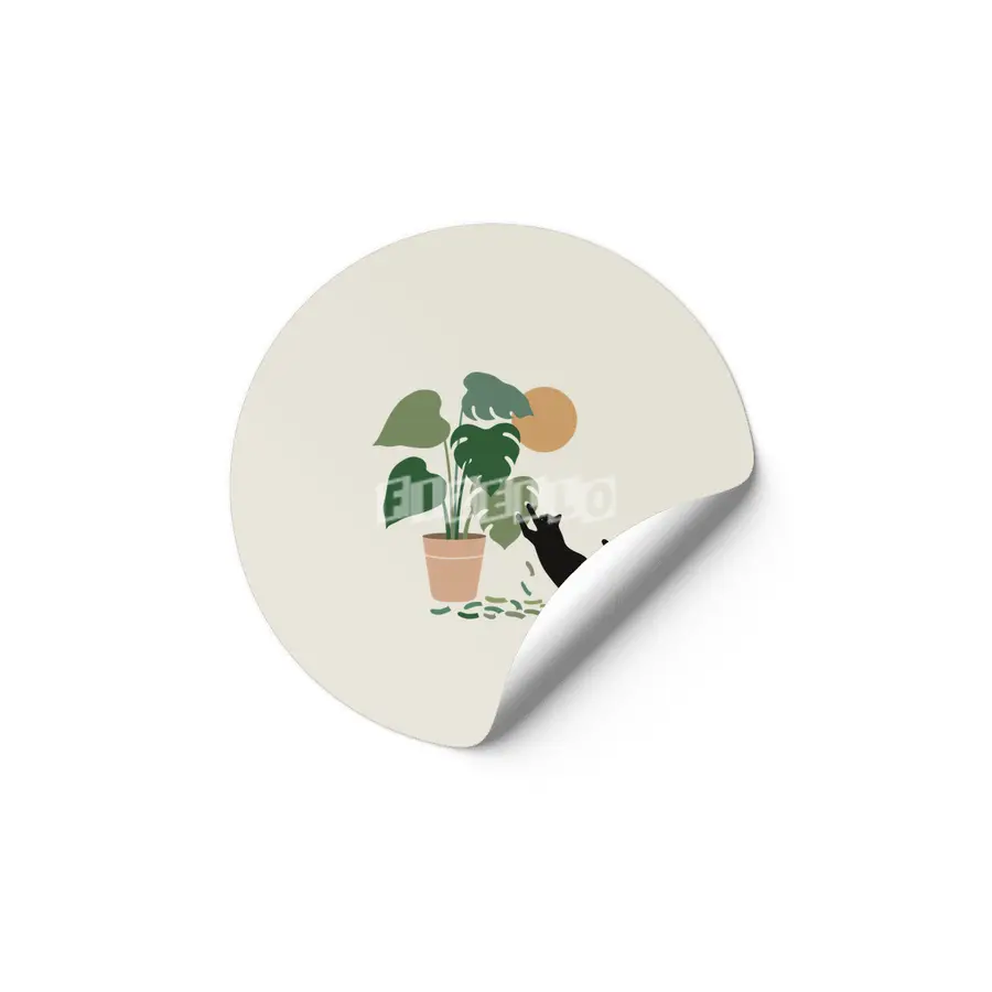 Cat and Plant 13: The Making of Monstera Etiket