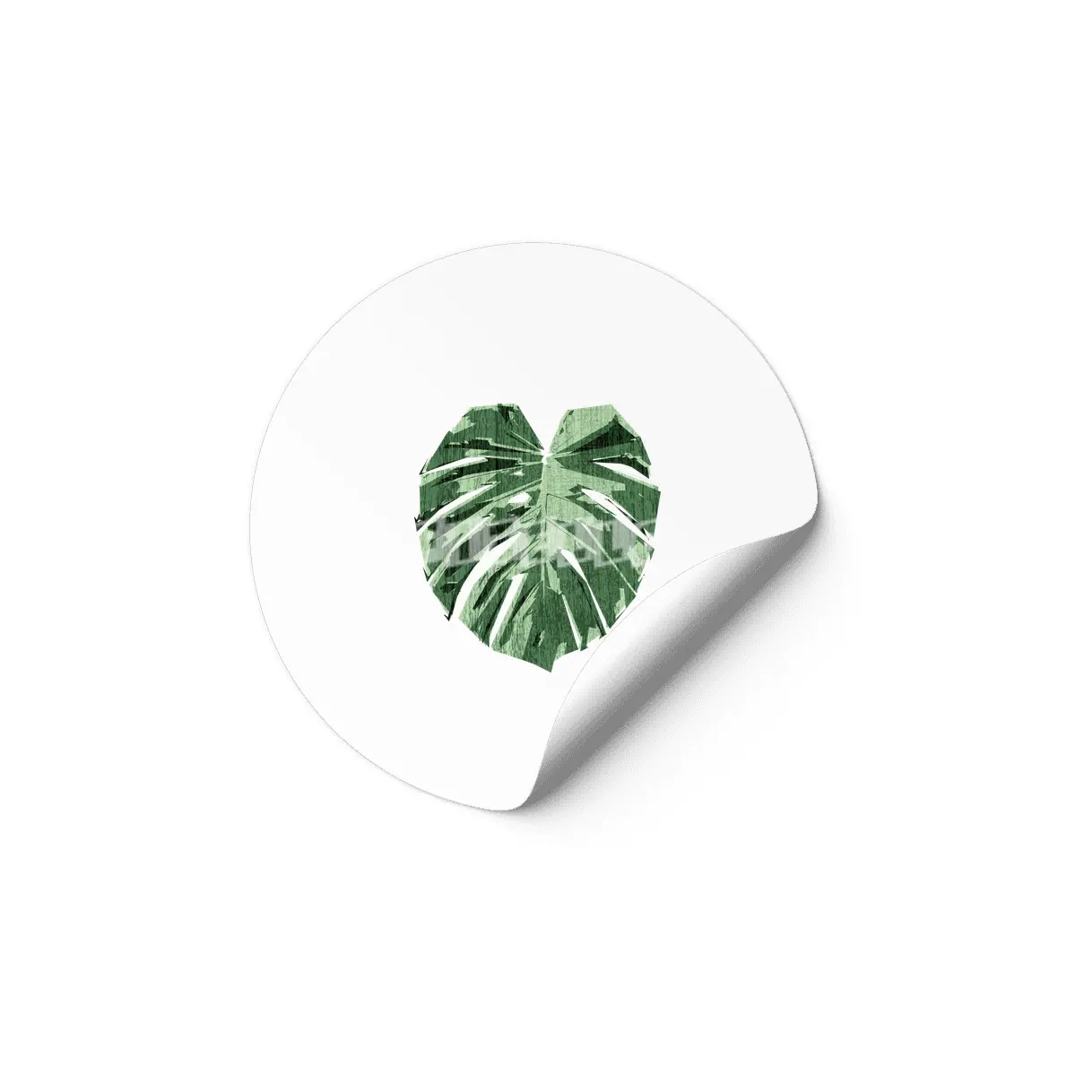 Monstera Love Etiket