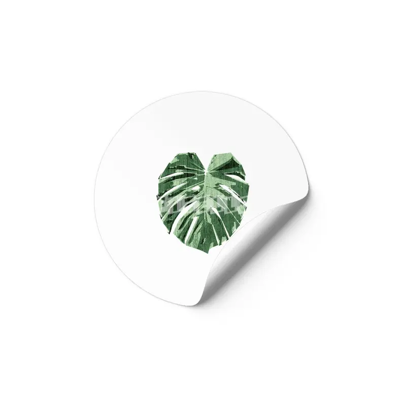 Monstera Love Etiket