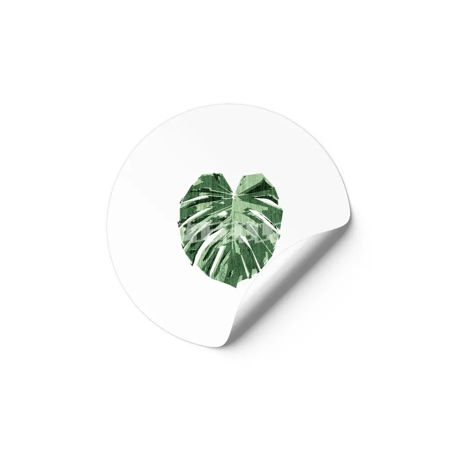 Monstera Love Etiket
