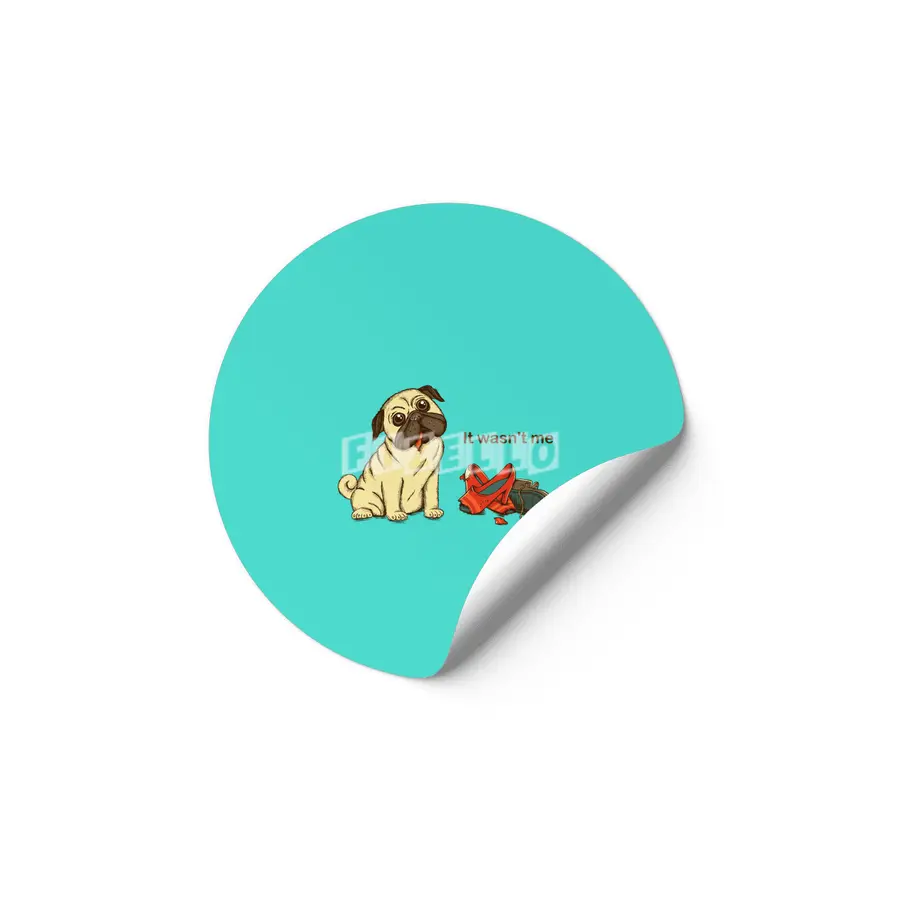 Dog Etiket