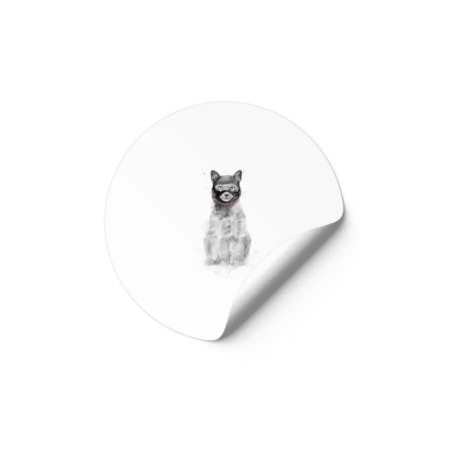 Masked cat Etiket