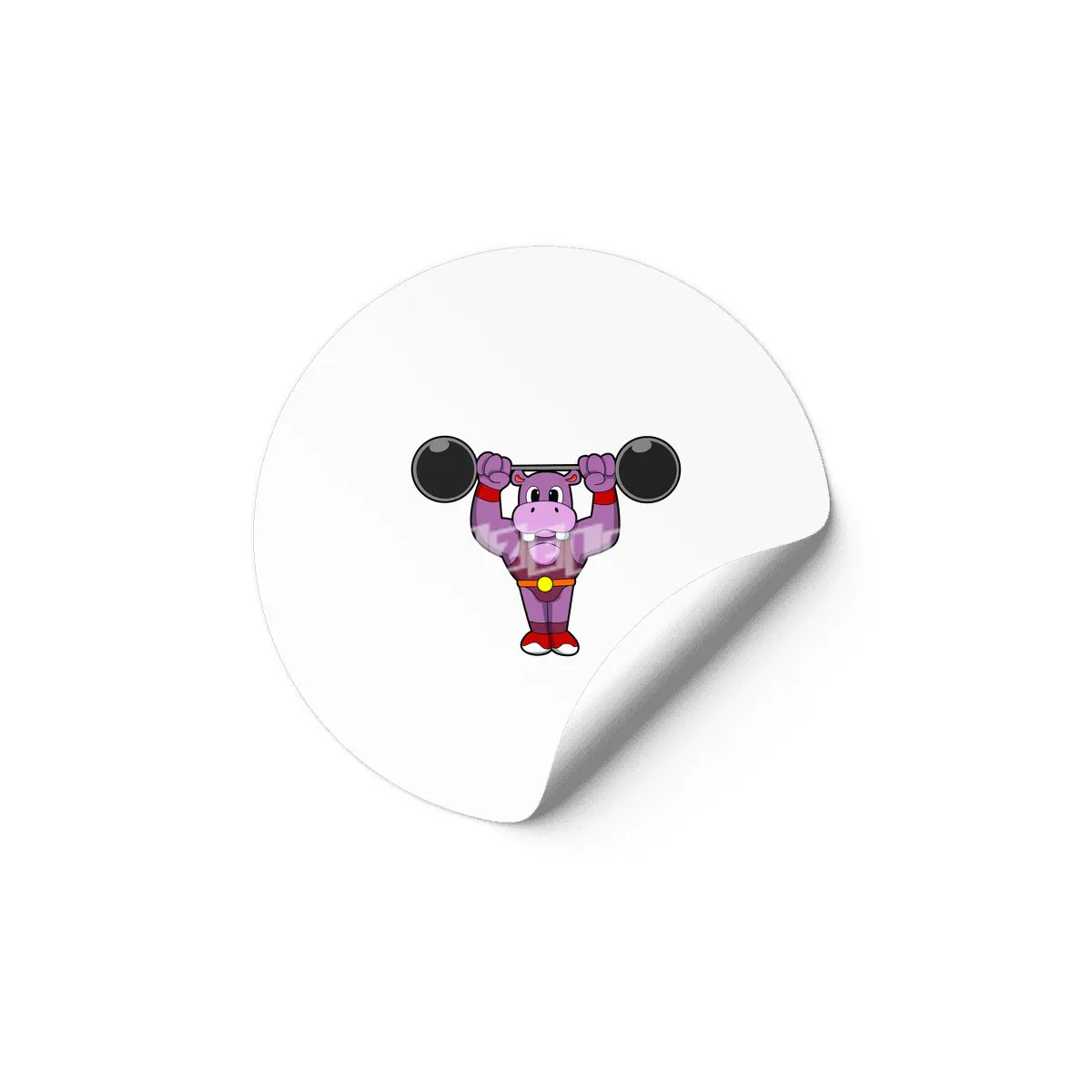 Hippo at Bodybuilding with Barbell Etiket