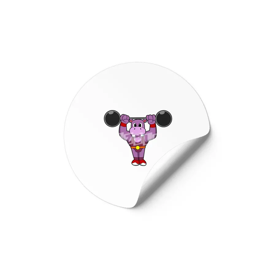 Hippo at Bodybuilding with Barbell Etiket