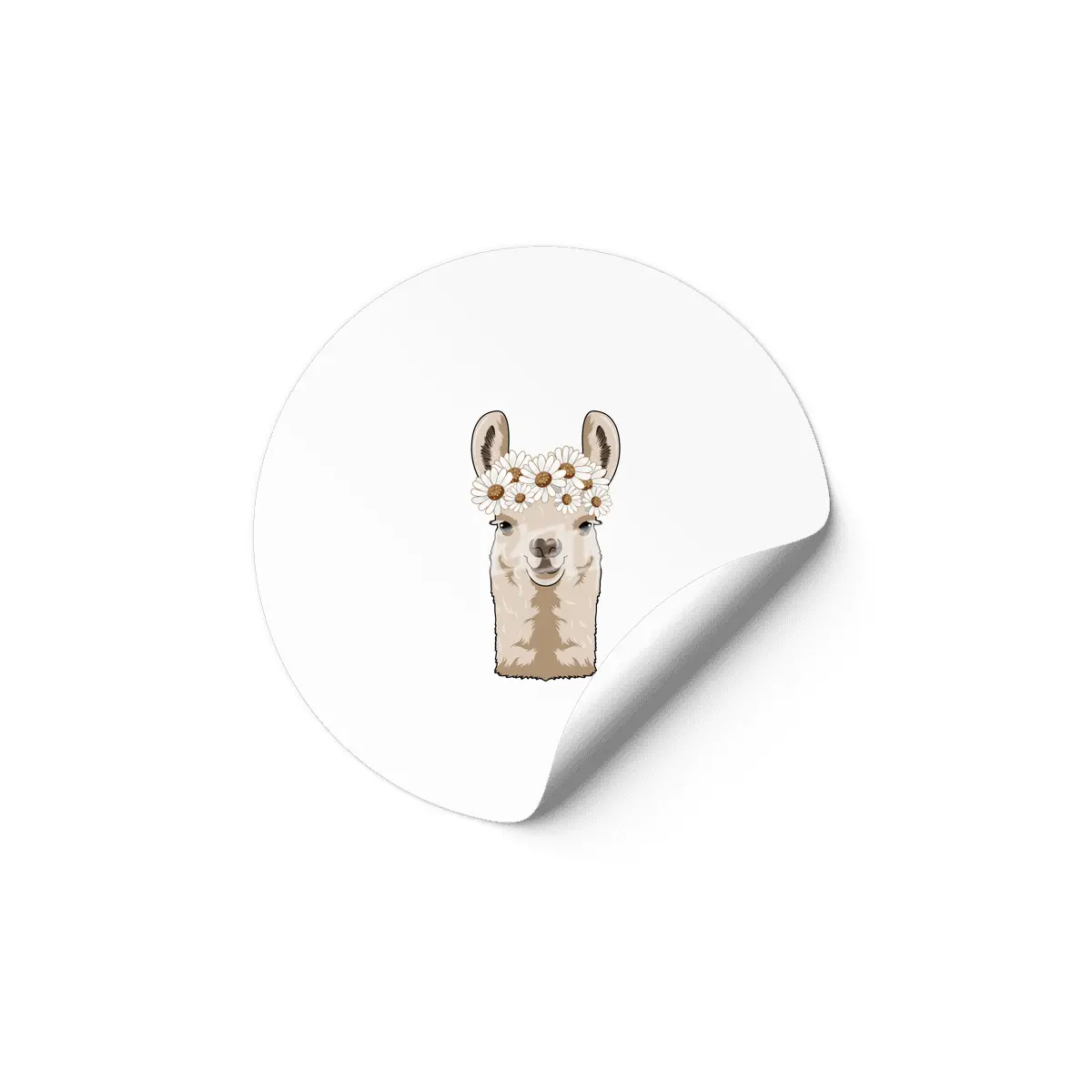 Llama with white Blossoms Etiket