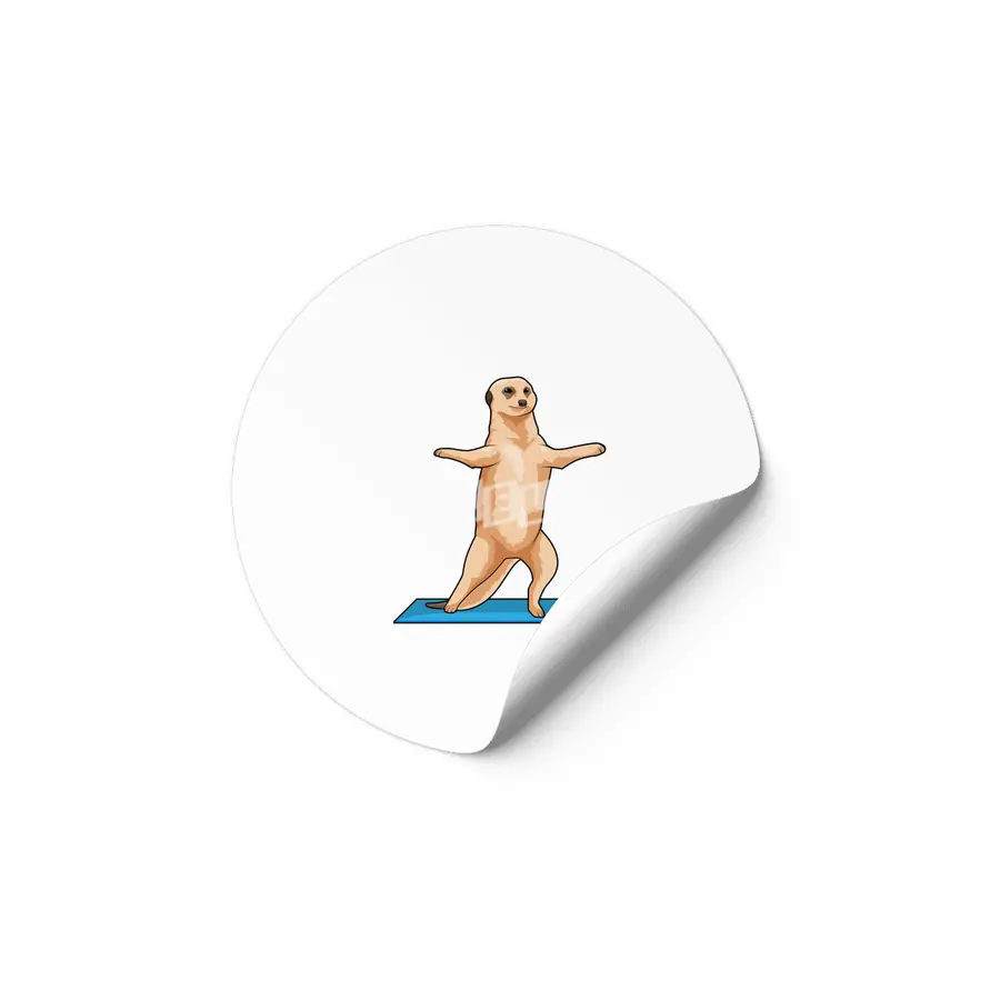 Meerkat at Fitness Stretching exercise Etiket