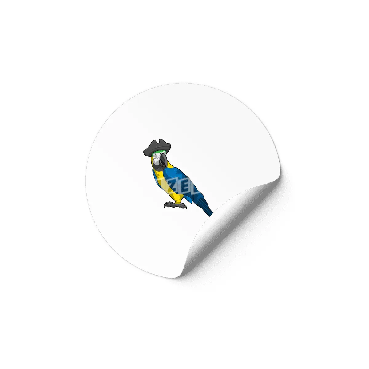 Parrot as Pirate with Hat Etiket