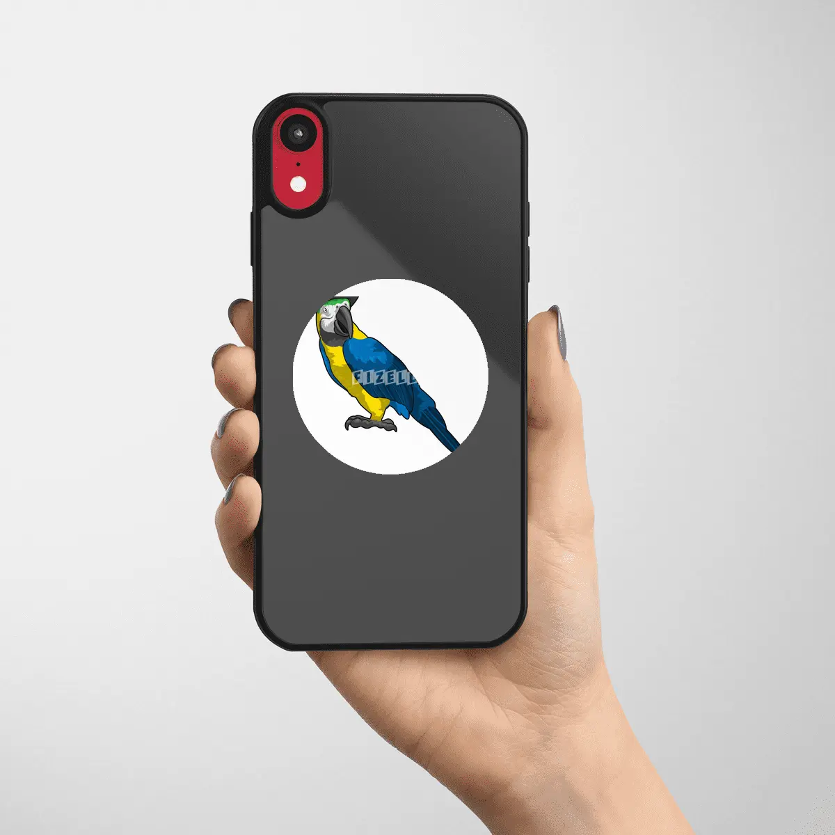 Parrot as Pirate with Hat Etiket