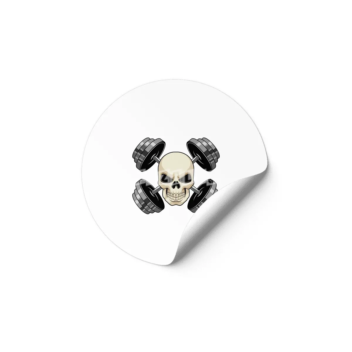 Skull Strength training Dumbbells Etiket