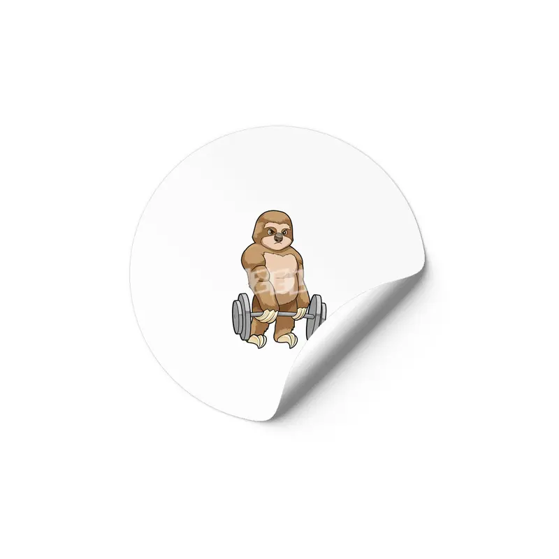 Sloth at Bodybuilding with Barbell Etiket