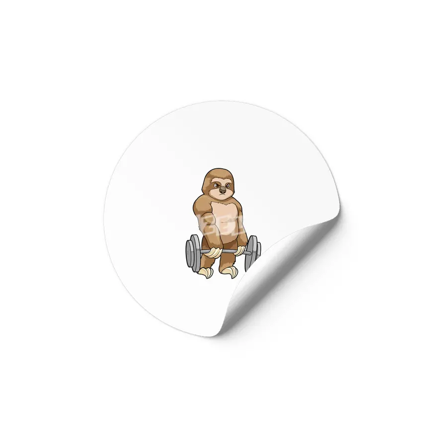 Sloth at Bodybuilding with Barbell Etiket