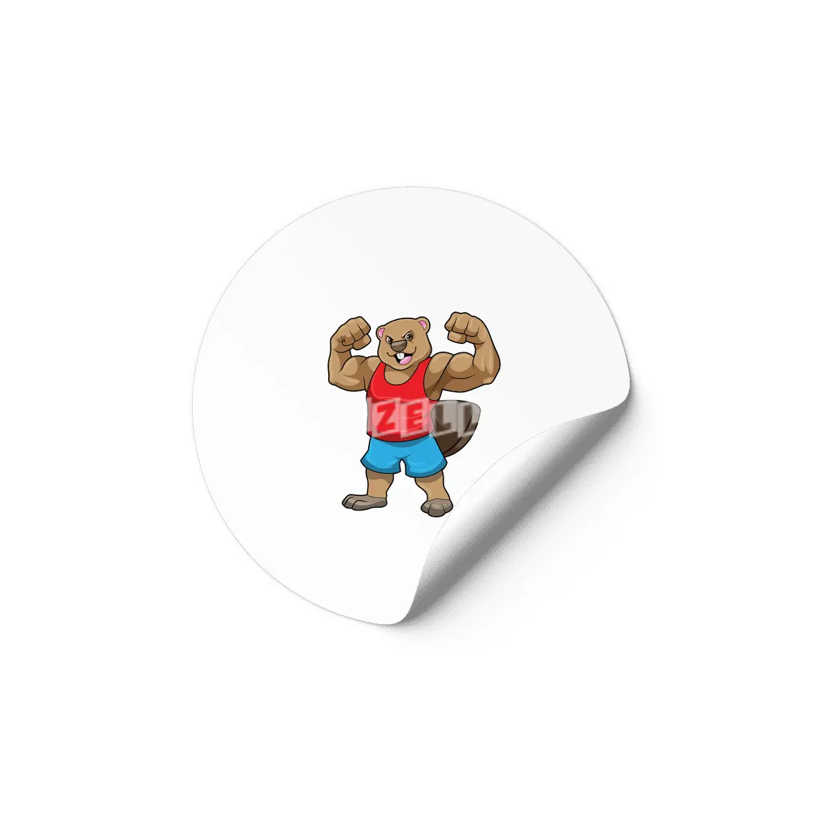 Beaver as Bodybuilder with big Upper arms Etiket