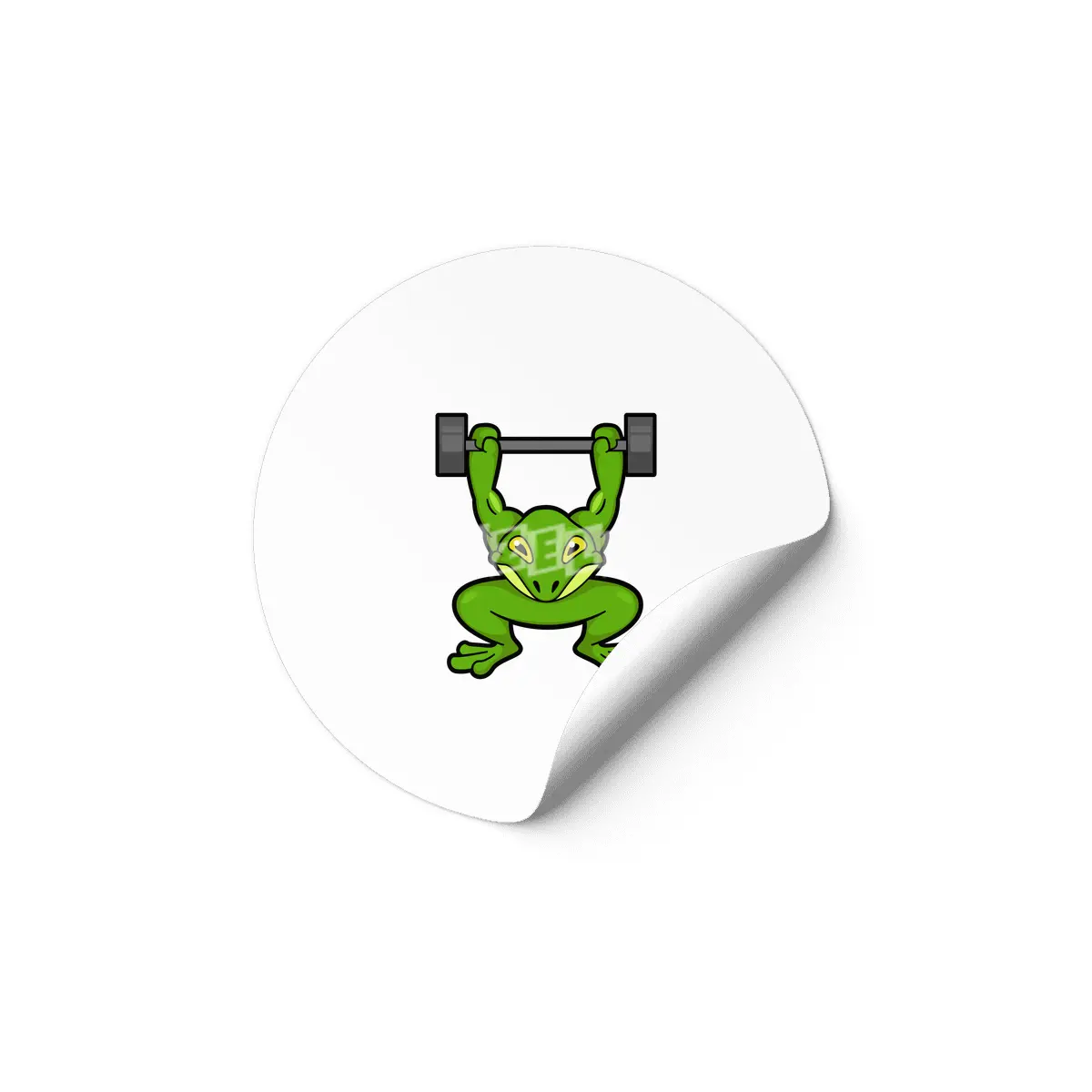 Frog at Bodybuilding with Barbell Etiket