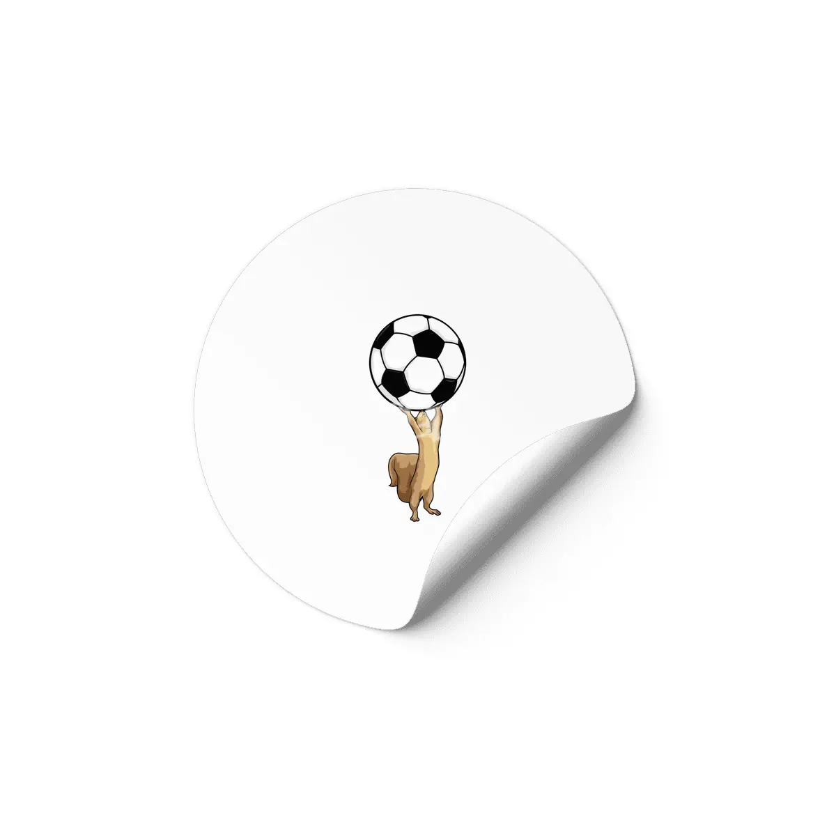 Squirrel with Soccer ball Etiket