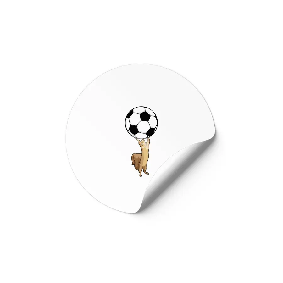 Squirrel with Soccer ball Etiket