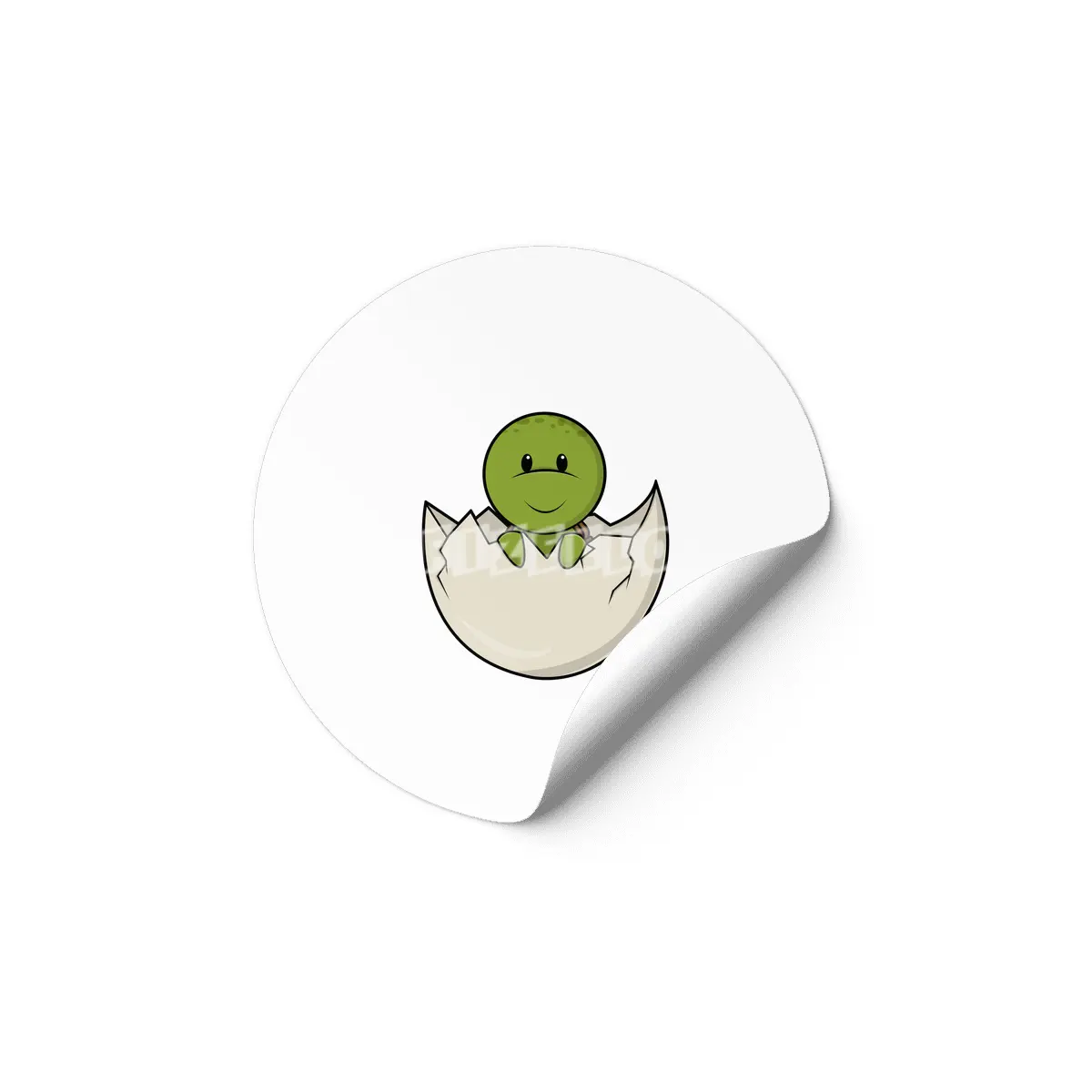 Turtle as Baby with Eggshell Etiket