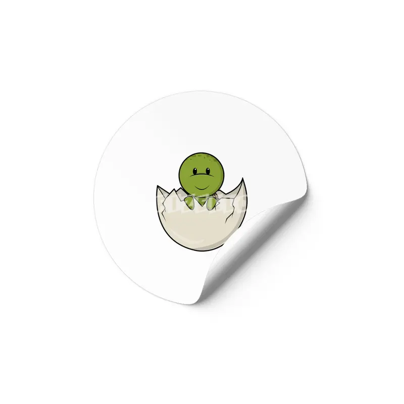 Turtle as Baby with Eggshell Etiket