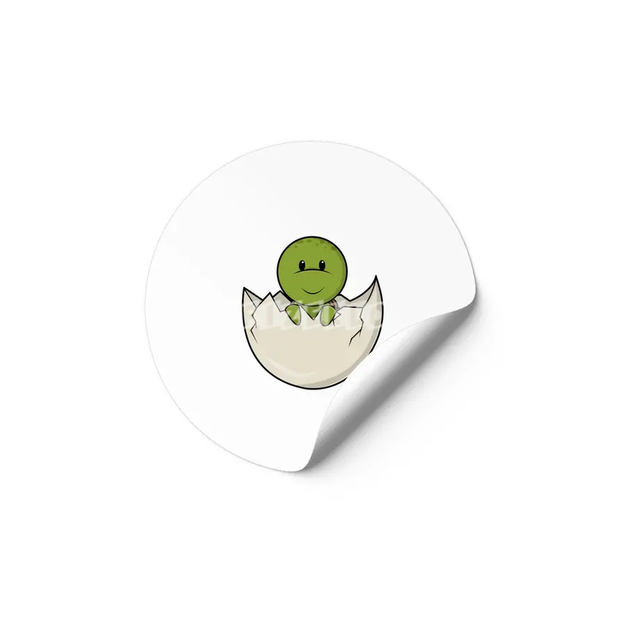 Turtle as Baby with Eggshell Etiket