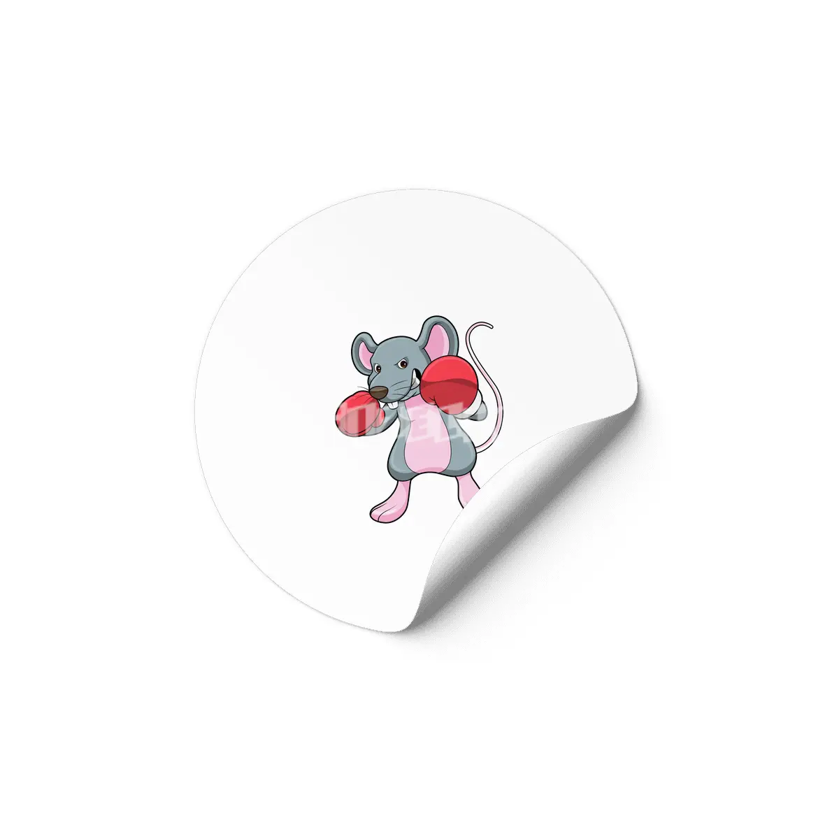 Rat at Boxing with Boxing gloves Etiket
