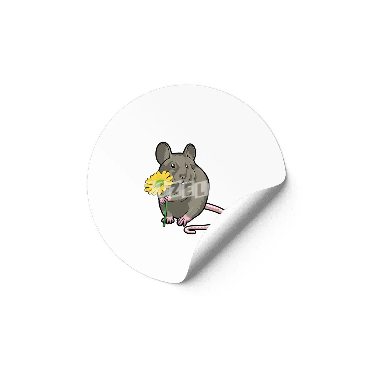 Rat with yellow Flower Etiket