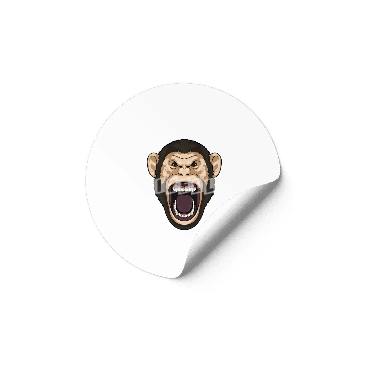 Monkey with black Hairs Etiket