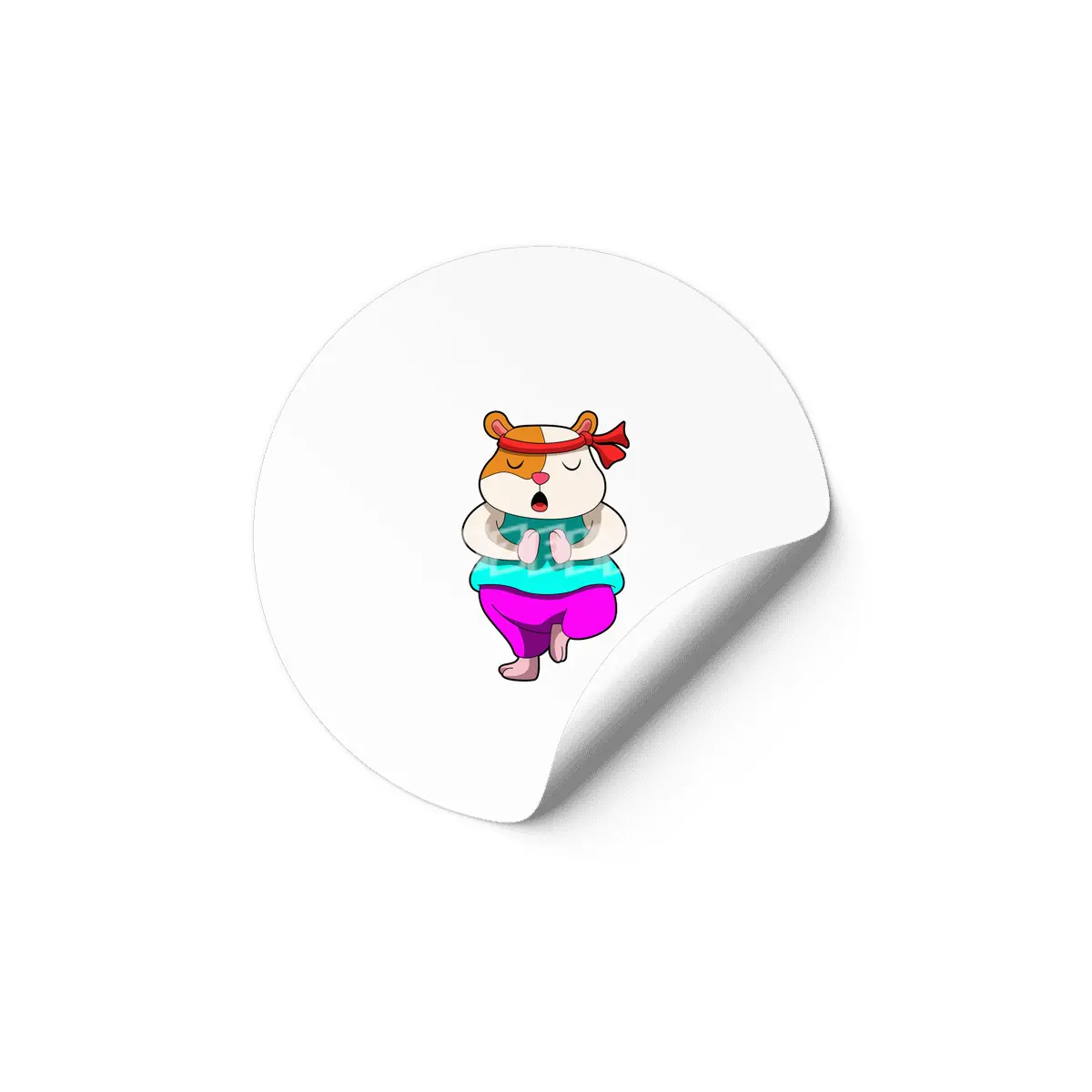 Hamster at Yoga stretching exercises Etiket