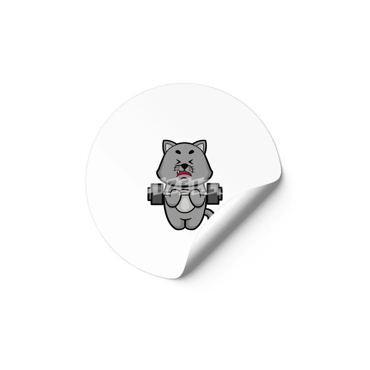 Cat at Biceps training with Barbell Etiket